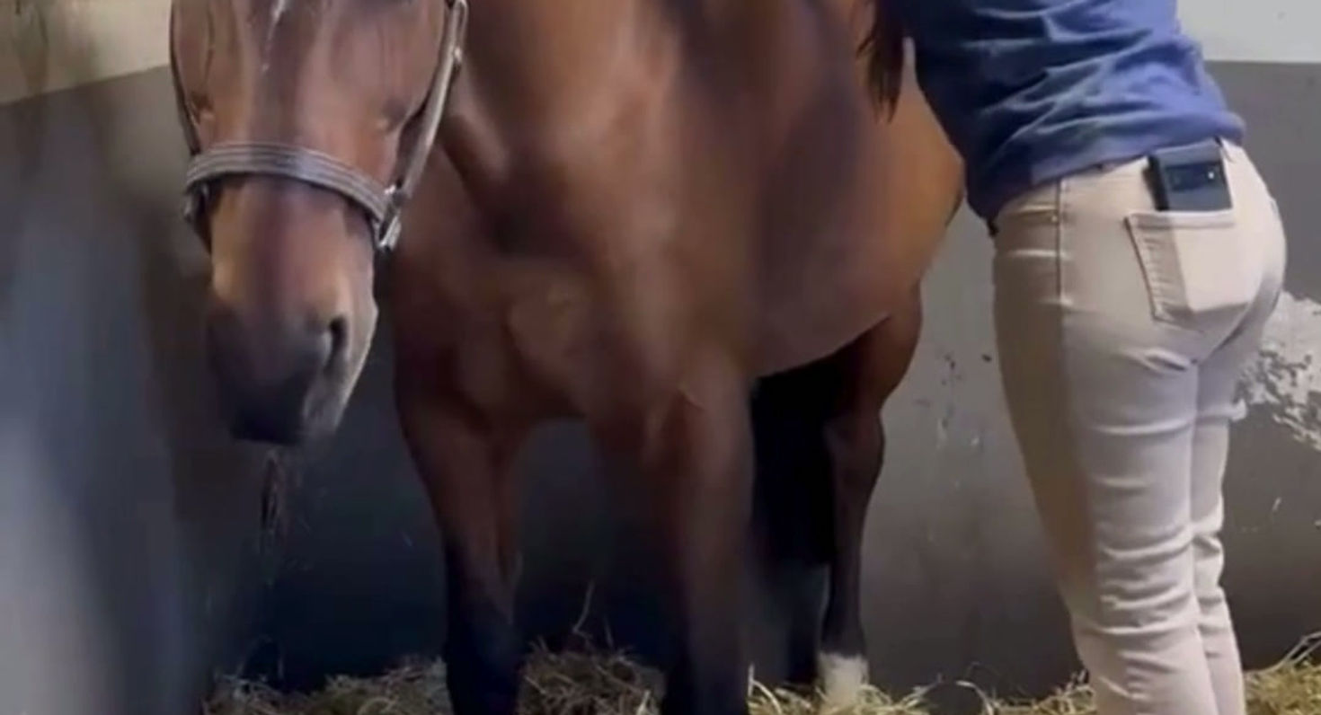 Flexa loving her massage